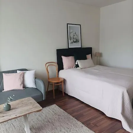 アパート Viihtyisae Ja Valoisa Yksioe Keskustan Laeheisyydessae ヘイノラ