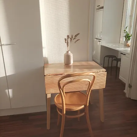 Viihtyisae Ja Valoisa Yksioe Keskustan Laeheisyydessae 아파트