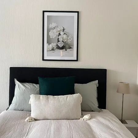 Viihtyisae Ja Valoisa Yksioe Keskustan Laeheisyydessae * ヘイノラ