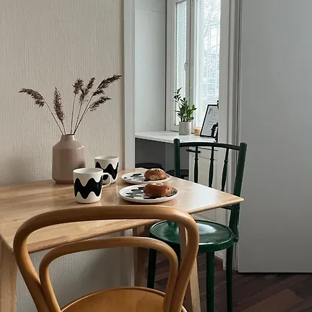Apartament Viihtyisae Ja Valoisa Yksioe Keskustan Laeheisyydessae *
