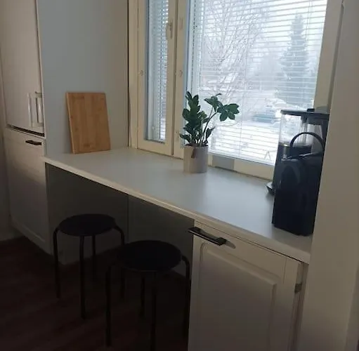 Viihtyisae Ja Valoisa Yksioe Keskustan Laeheisyydessae *