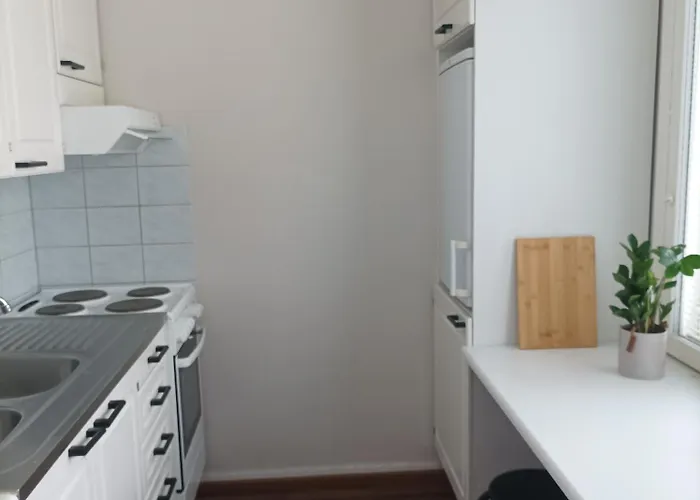 Διαμέρισμα Viihtyisae Ja Valoisa Yksioe Keskustan Laeheisyydessae