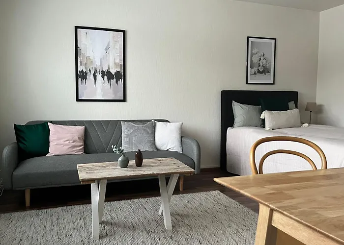 Viihtyisae Ja Valoisa Yksioe Keskustan Laeheisyydessae *